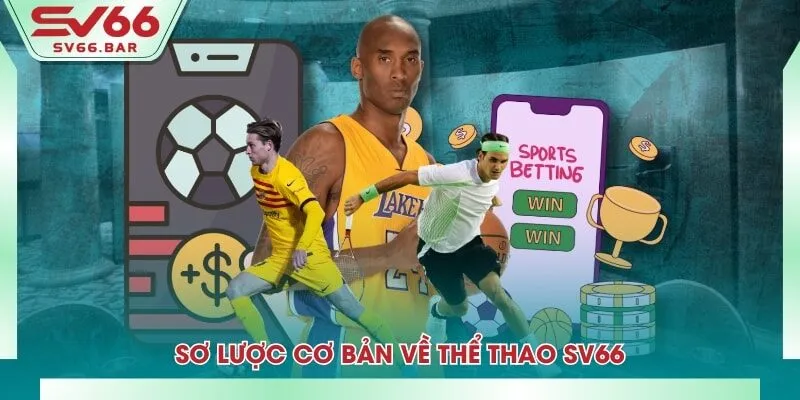 Sơ lược cơ bản về thể thao SV66